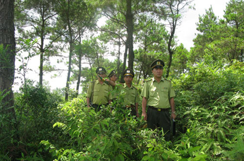 Lực lượng kiểm lâm Tuyên Quang tuần tra, bảo vệ rừng.